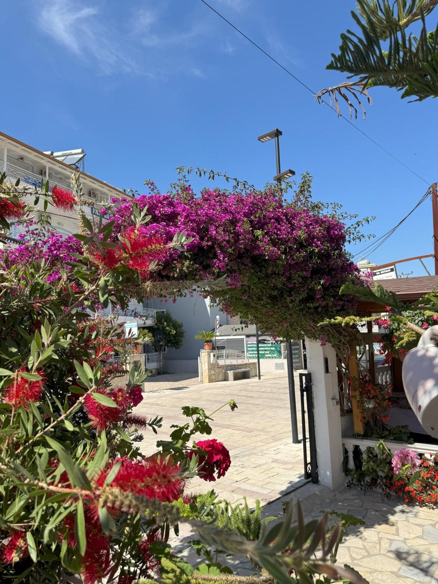 Apartment Garden Veli