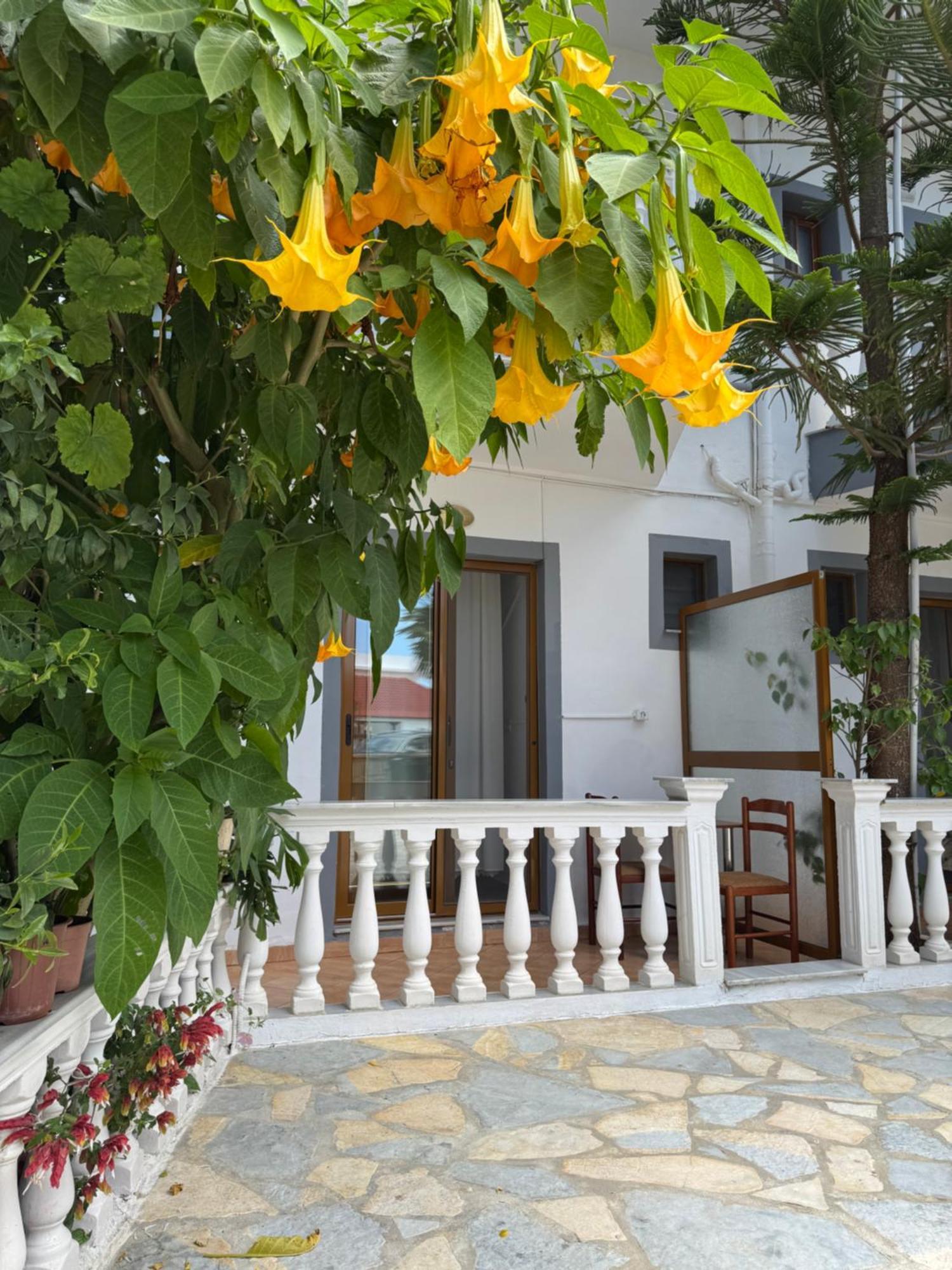 Garden Veli