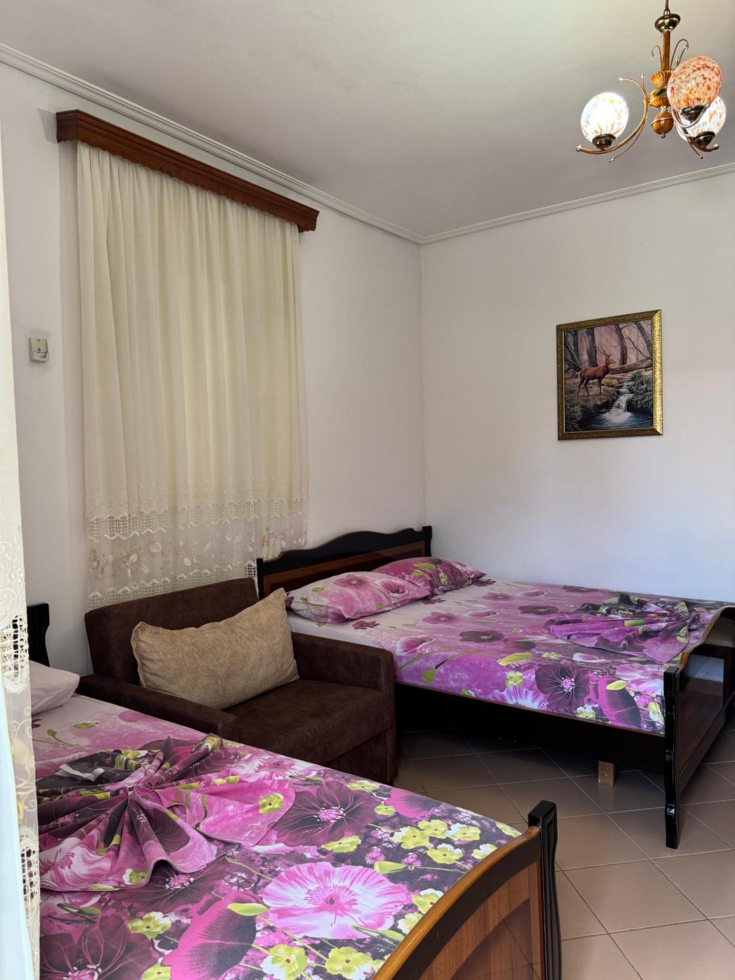 Apartment Garden Veli